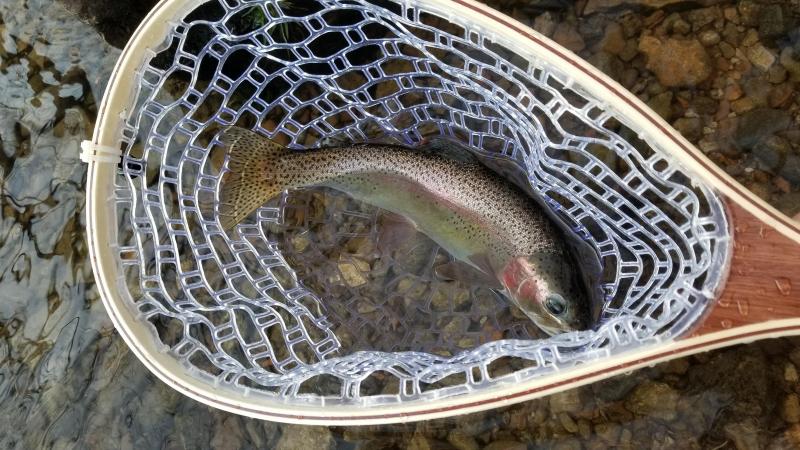20201204_155942.jpg