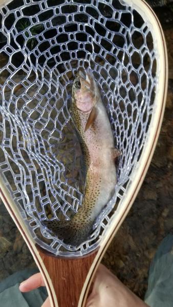 20201204_160409.jpg