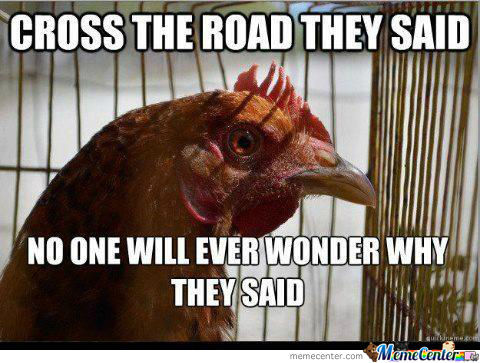 why-did-the-chicken-cross-the-road_o_1239379.jpg