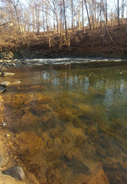 Little Patuxent - long pool above Mills - 09Feb19.jpg