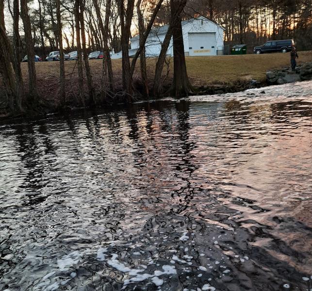 Spillway Pool Unicorn branch - 27Feb21.jpg