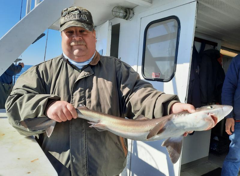 Spiny Dogfish Ocean Explorer 27Mar21.jpg