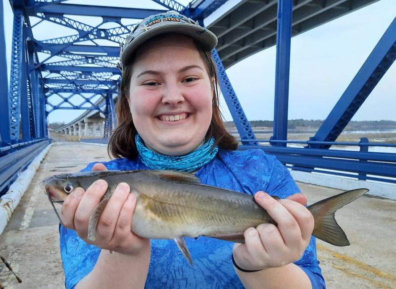 Livie Channel Catfish (#20) - Choptank Rvr - 05Apr21.jpg