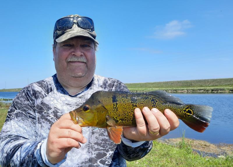 Peacock Bass - Tamiami Canal - 01May21.jpg