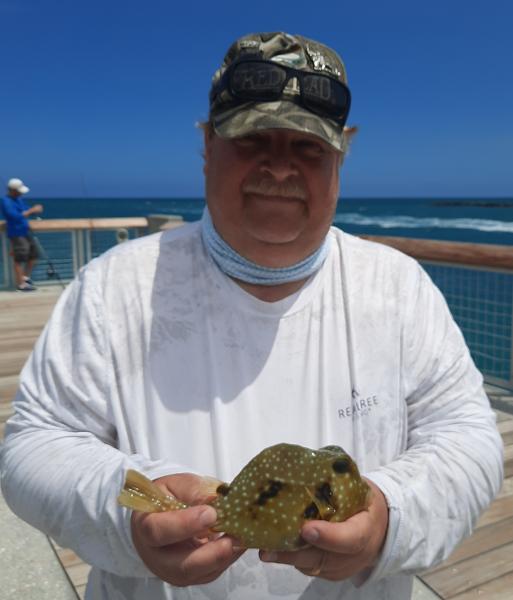 Buffalo Trunkfish - South Pointe Park Pier - 30Apr21.jpg