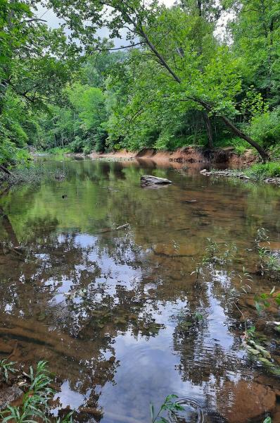 Passage Creek VA upstream - 03Jul21.jpg