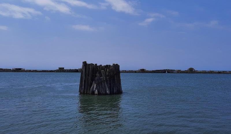 The Pilings - Kiptopeke STP - 31Jul21.jpg