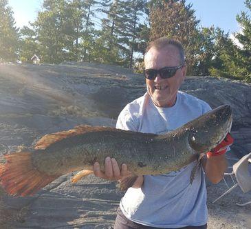 world record bowfin