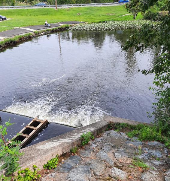 Moore's Lake spillway - 14Sep21.jpg