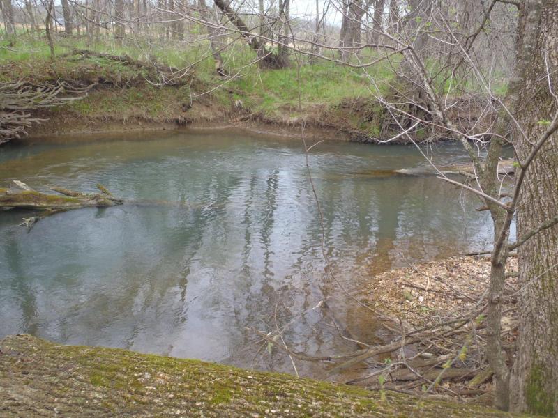 Capp's Creek - 13Apr14.JPG