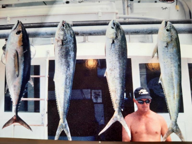 Dolphin - Islamorada FL - 17Mar99.jpg