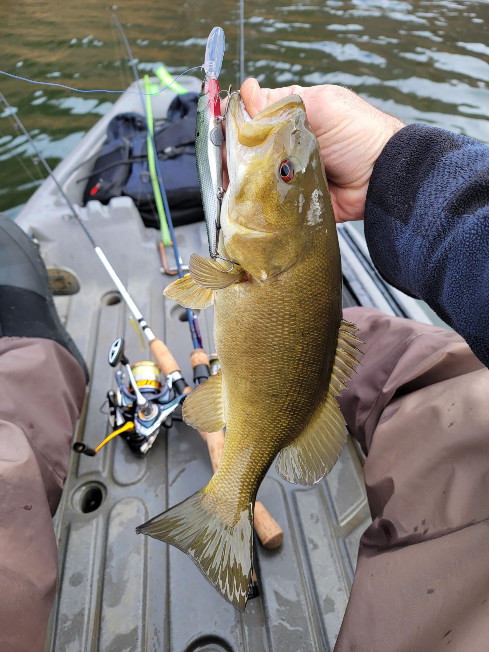 GREASY CREEK RODS CRAPPIE SPINNING ROD