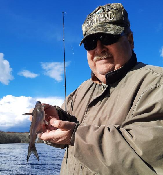 Blue catfish - Pocomoke Rvr - Snow Hill - 26Mar22.jpg