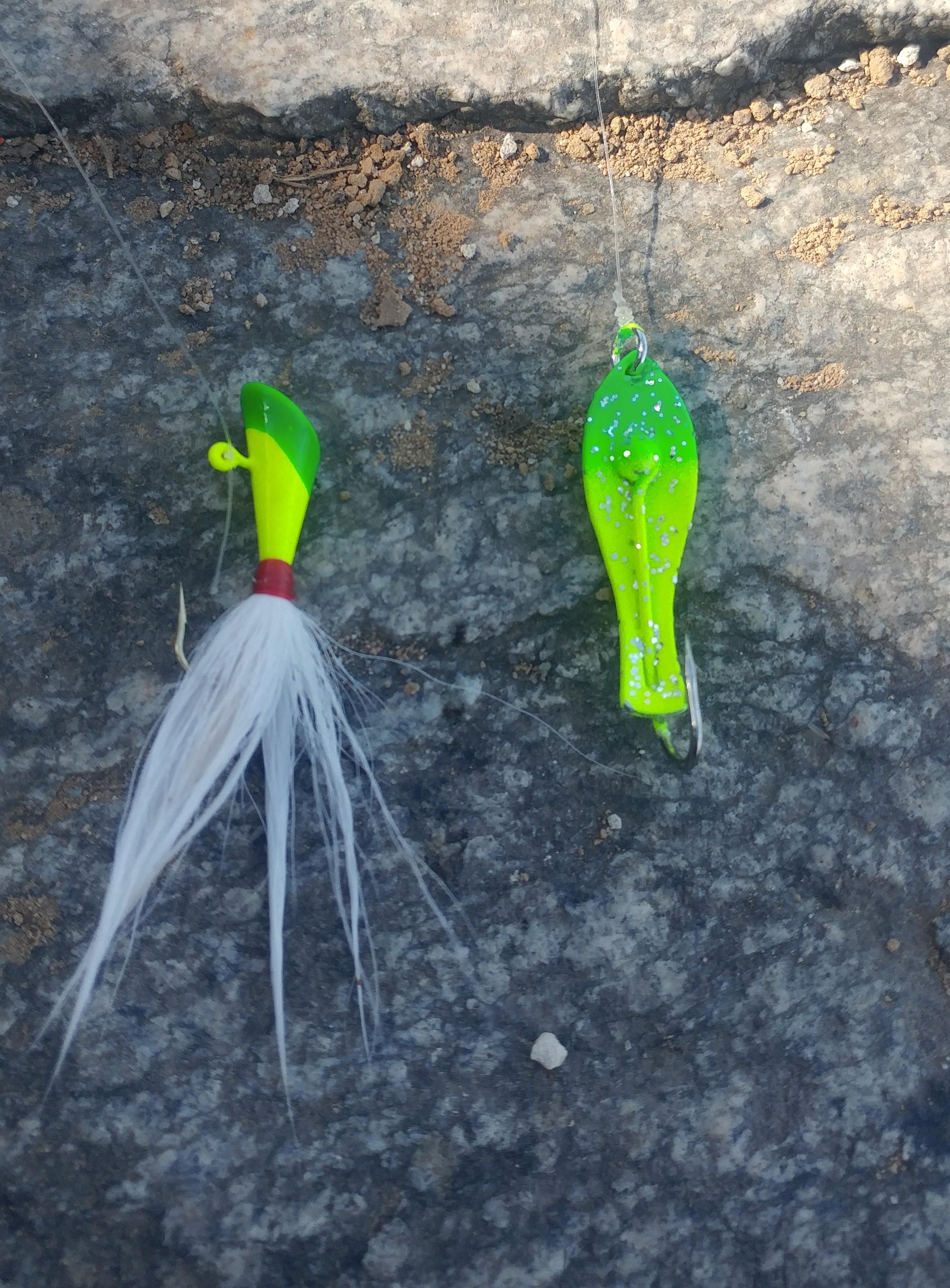 Spring Shad run and a Surprise! - U.S.A. - North & East Regions