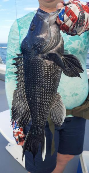 Sue Largest Black Sea bass male CP - 22May22 - Angler Trip.jpg