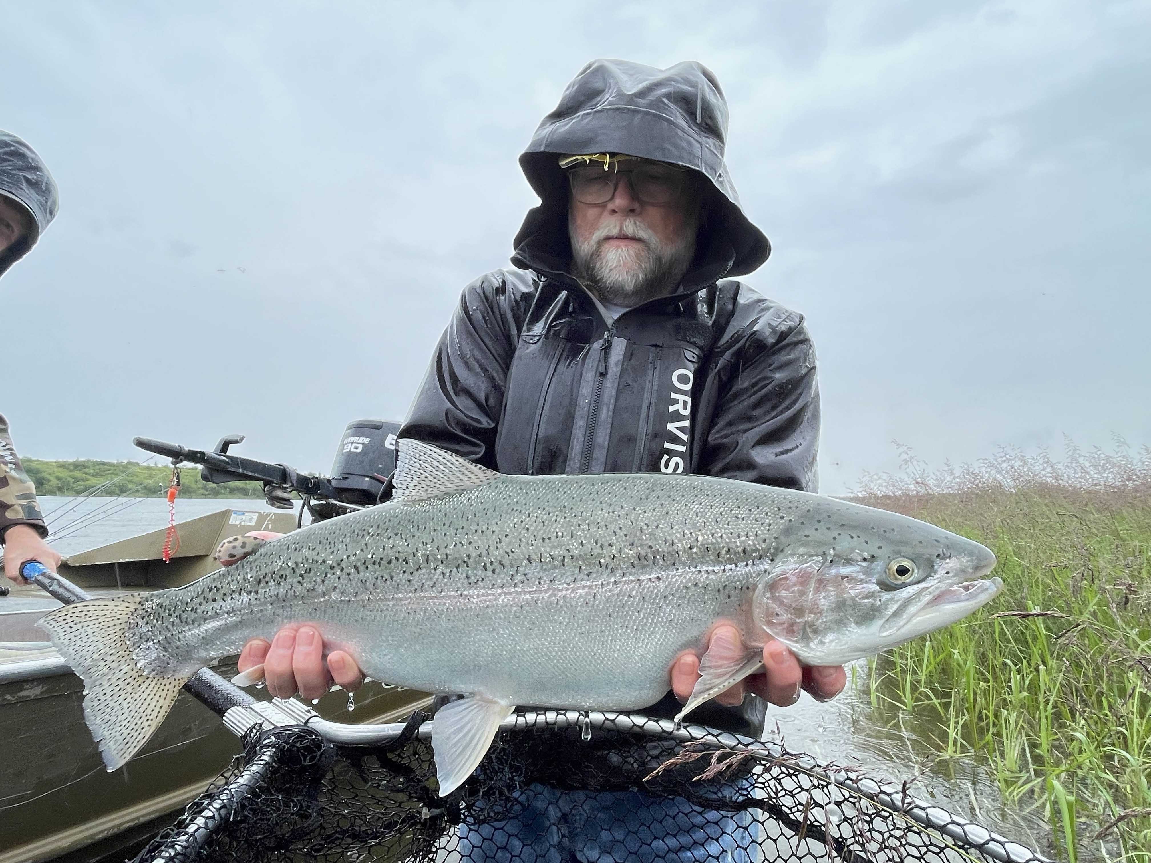 Why King Salmon is the King of Fish: A Guide to Its Majesty