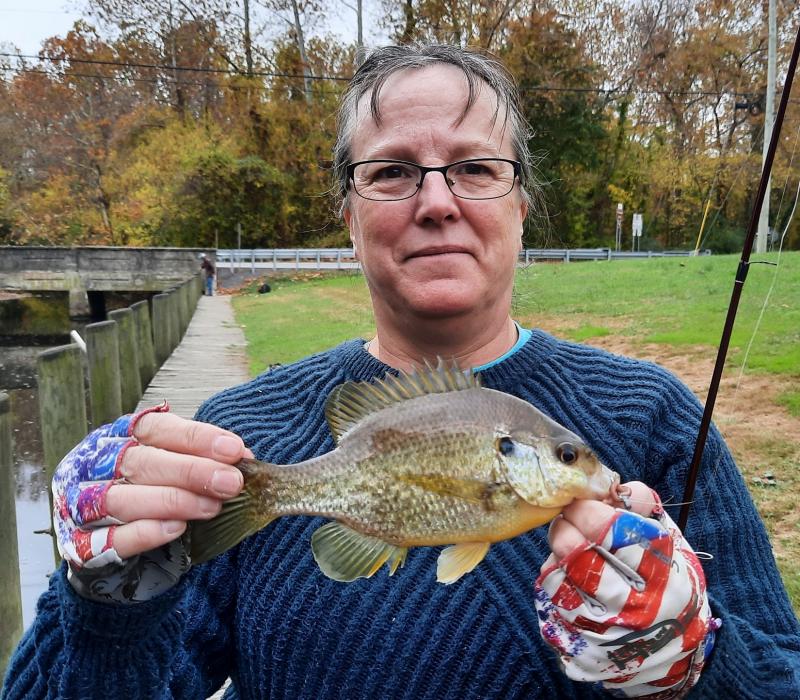 Sue Redear Sunfish - Wye East Rvr - 30Oct22.jpg