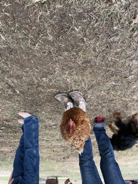 chicken boots.jpeg