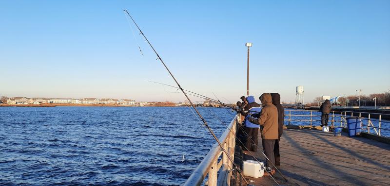 Magnolia Pier - Herring Fishing - 09Jan23.jpg