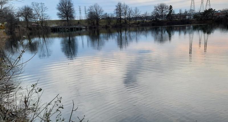 Stansbury Park Pond - Left - 11Feb23.jpg