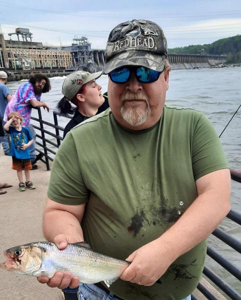 Hickory Shad - Messy handling - Susquehanna Rvr - 14Apr23.jpg