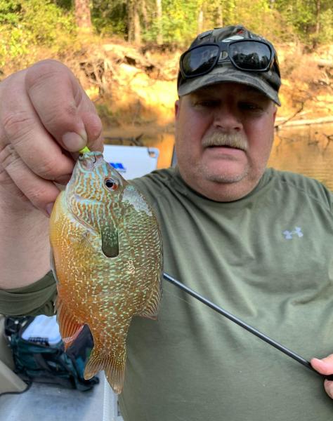 Rio Grande Longear Sunfish - Big Cypress Bayou TX - 12Oct19.jpg