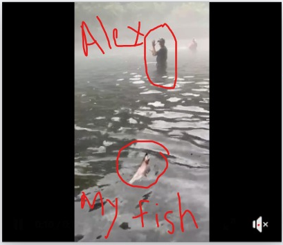 image.png.4036305f5c15499a7ff83ba103a2e462.png