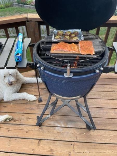 steelhead and mushroom caps with Gus.jpg