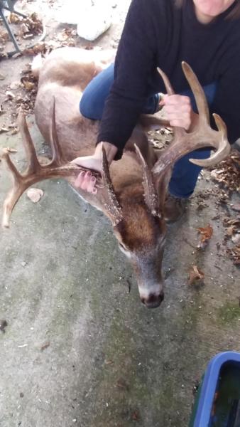 ABC Buck (2) - 17Nov16.jpg