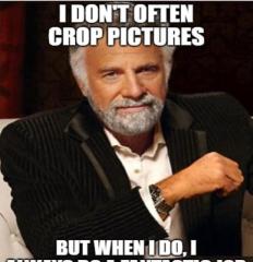 crop.jpg