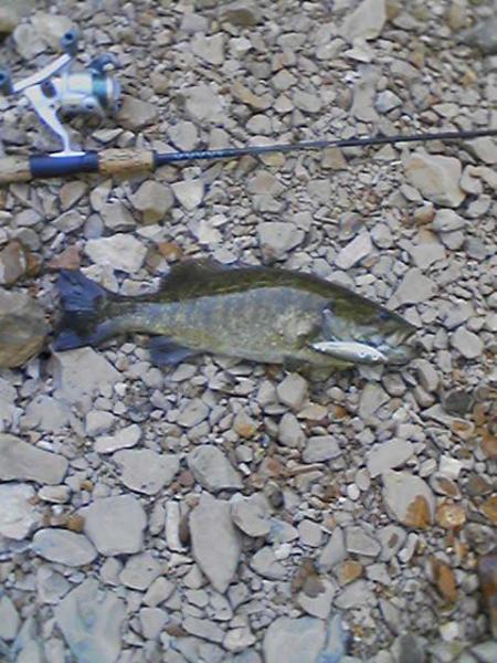 S-Bend smallmouth.JPG