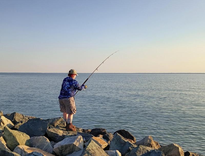 Livie Cownose ON! - Tilghman Island 27Jun24.jpg