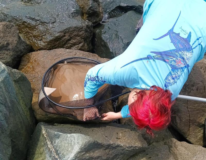 Livie w Cownose Ray - Tilghman - 04Jul24.jpg