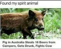 Spirit Animal.jpg