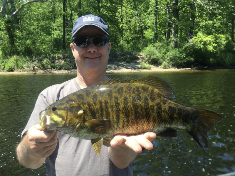 smallmouth-bass-2-1-1536x1152.jpg