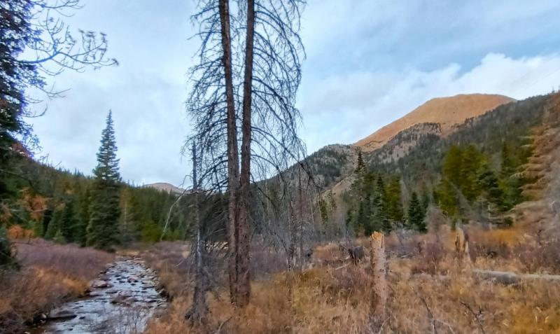 Bard's Crk 03 - Arapahoe Natl Forest - 18Oct24.jpg