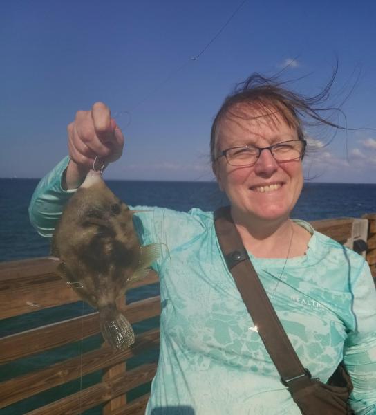 Sue Planehead Filefish - Dania Pier - 21Feb24.jpg