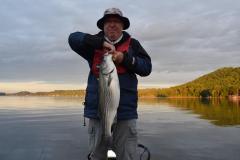 May12striper.jpg