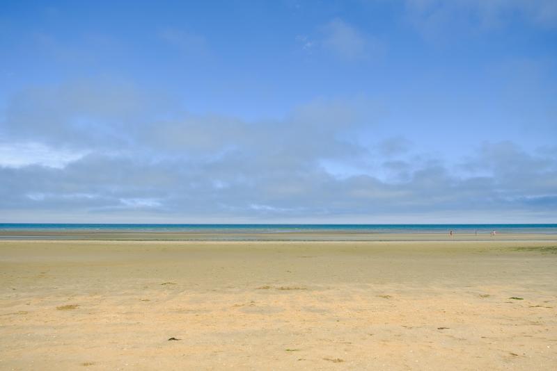 DSCF3724.jpg