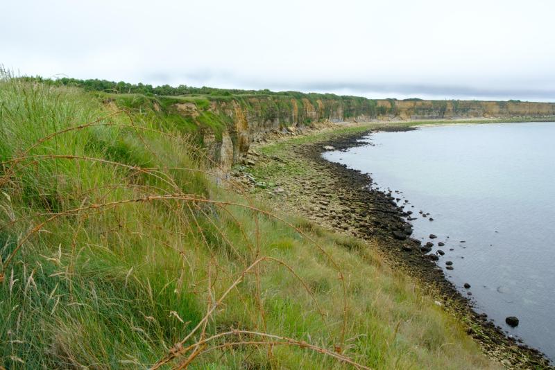 DSCF3731.jpg