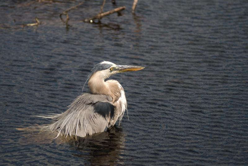 DSC_7535.jpg