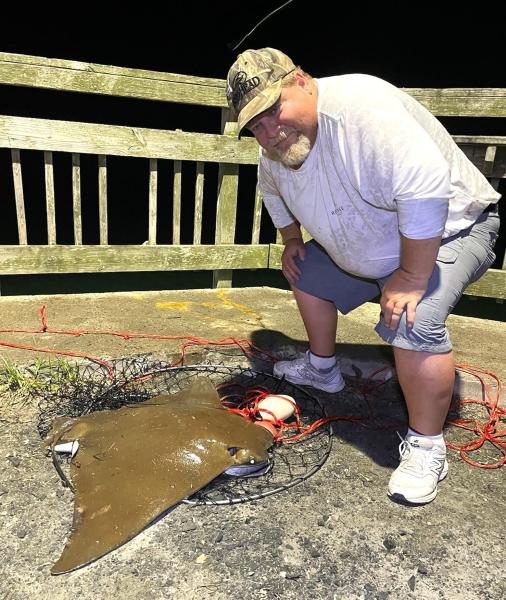Cownose Ray - Kiptopeke STP - 25jul25.jpg