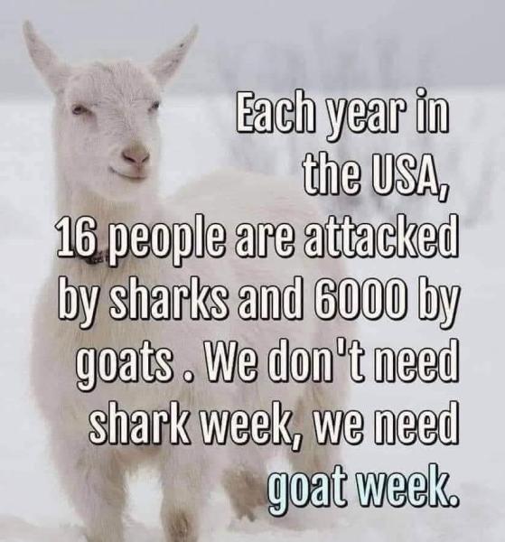 FB_IMG_1753829447277.jpg