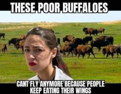 Buffwings.jpeg