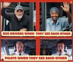 pilots.jpeg