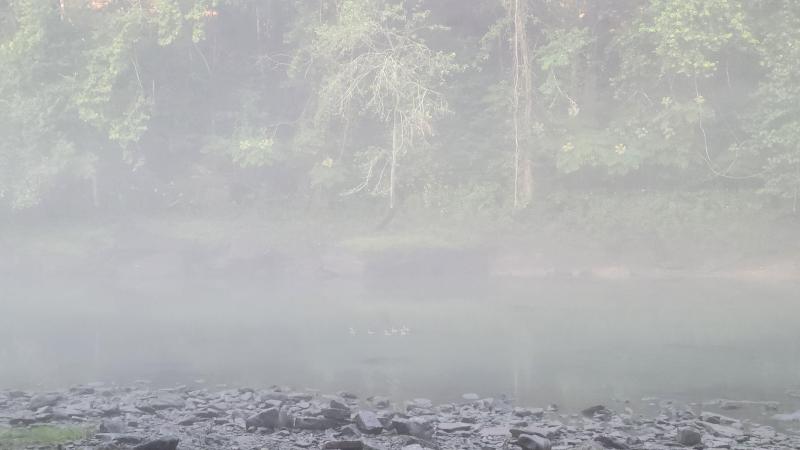 20250810_071203.jpg