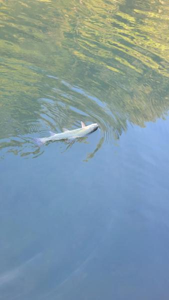 20250810_085016.jpg