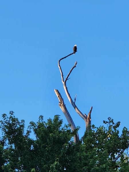 20250822_190314.jpg