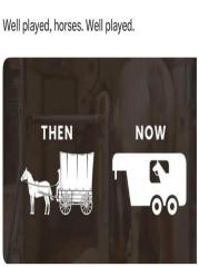 horses.jpeg