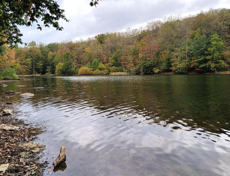 Hunting Crk Lake - Uplake - 11Oct25.jpg